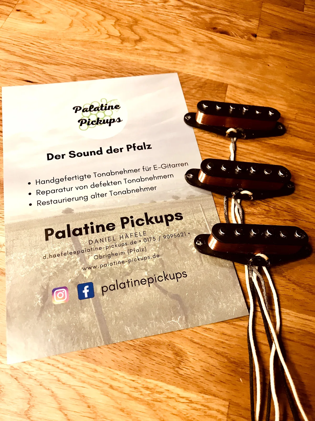 Strat-Tonabnehmer neben einem Palatine Pickups Flyer